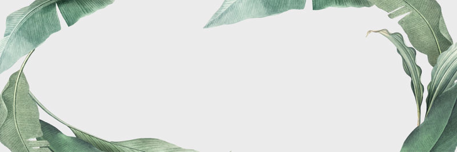 栀心咨询